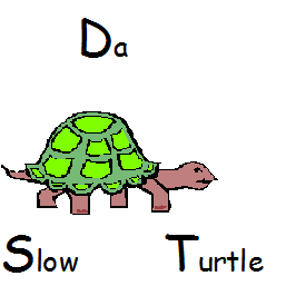 turtle