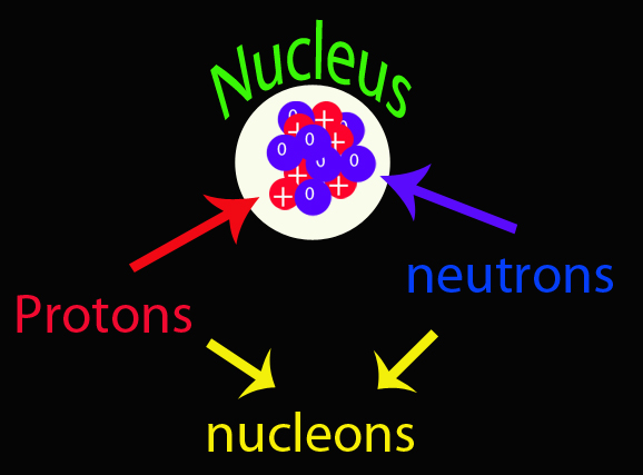 nucleus