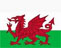 Welsh flag